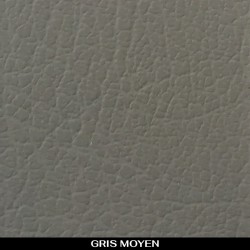 GRIS MOYEN